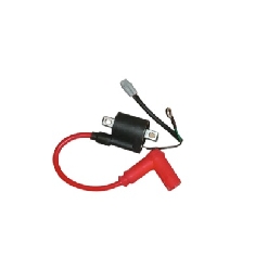 Yuki Dırtypaws 250 2T Ateşleme Bobini